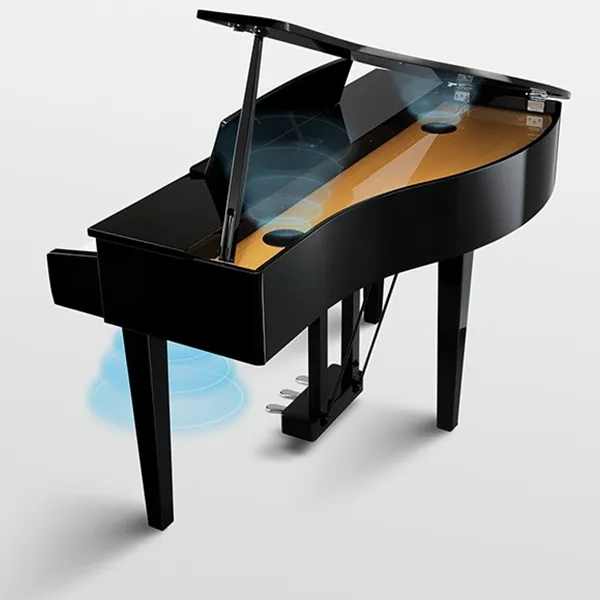 Music City – Tổng Kho Piano, Guitar, Organ | Dịch Vụ Giáo Dục Âm Nhạc