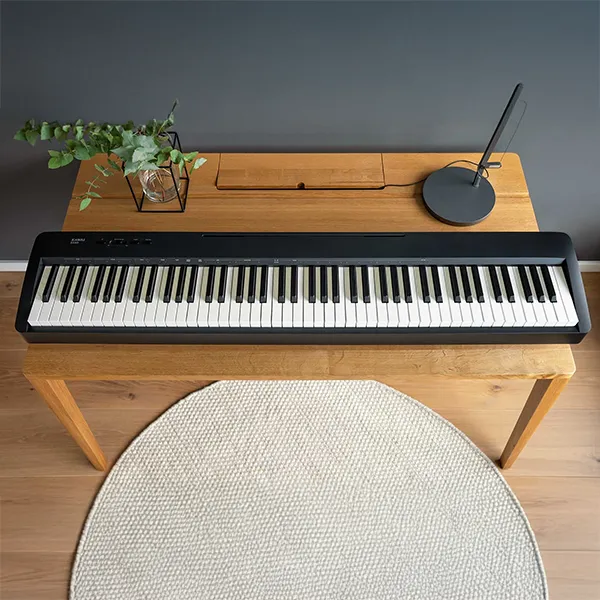 Music City – Tổng Kho Piano, Guitar, Organ | Dịch Vụ Giáo Dục Âm Nhạc