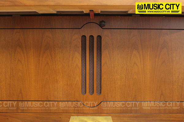 Music City – Tổng Kho Piano, Guitar, Organ | Dịch Vụ Giáo Dục Âm Nhạc