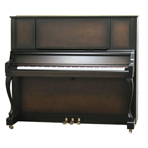 Music City – Tổng Kho Piano, Guitar, Organ | Dịch Vụ Giáo Dục Âm Nhạc