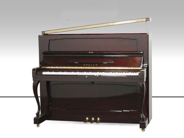 Music City – Tổng Kho Piano, Guitar, Organ | Dịch Vụ Giáo Dục Âm Nhạc