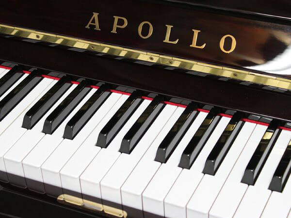 Music City – Tổng Kho Piano, Guitar, Organ | Dịch Vụ Giáo Dục Âm Nhạc