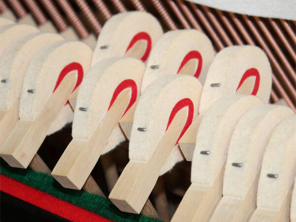 Music City – Tổng Kho Piano, Guitar, Organ | Dịch Vụ Giáo Dục Âm Nhạc