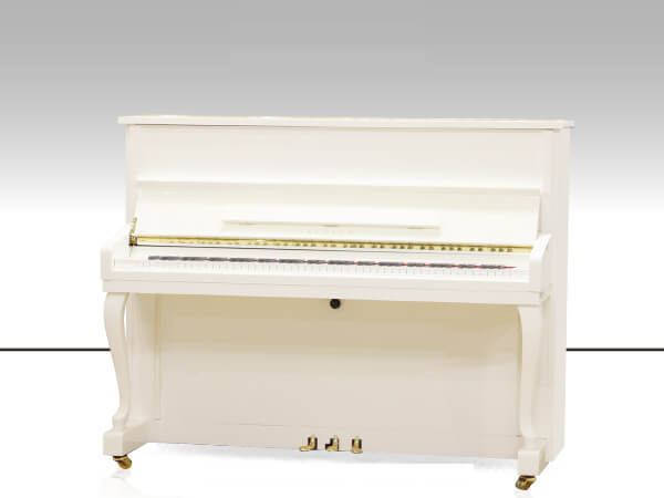 Đàn Piano Apollo A116LE - Ảnh 2