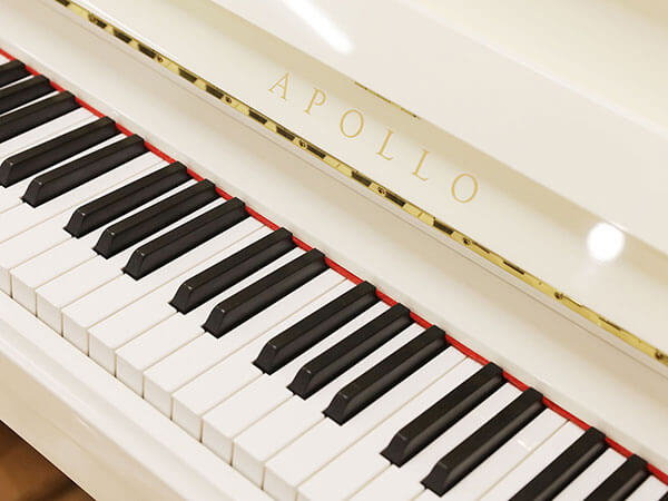 Music City – Tổng Kho Piano, Guitar, Organ | Dịch Vụ Giáo Dục Âm Nhạc