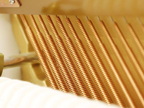Đàn Piano Apollo A116LE - Ảnh 7
