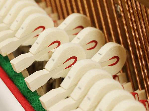 Đàn Piano Apollo A116LE - Ảnh 8