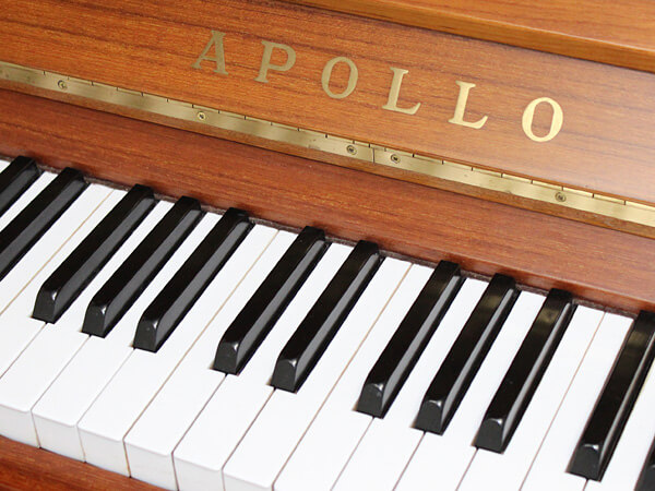 Music City – Tổng Kho Piano, Guitar, Organ | Dịch Vụ Giáo Dục Âm Nhạc