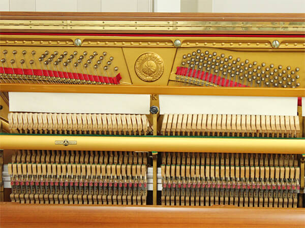 Music City – Tổng Kho Piano, Guitar, Organ | Dịch Vụ Giáo Dục Âm Nhạc