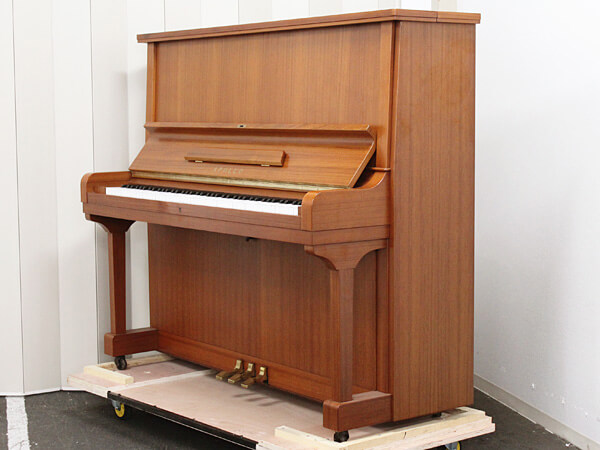 Music City – Tổng Kho Piano, Guitar, Organ | Dịch Vụ Giáo Dục Âm Nhạc