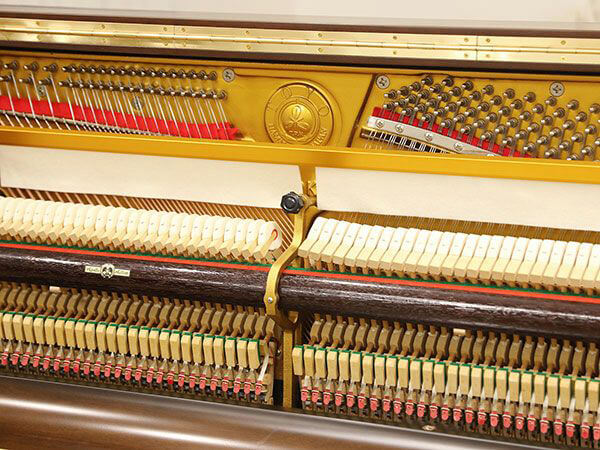 Music City – Tổng Kho Piano, Guitar, Organ | Dịch Vụ Giáo Dục Âm Nhạc