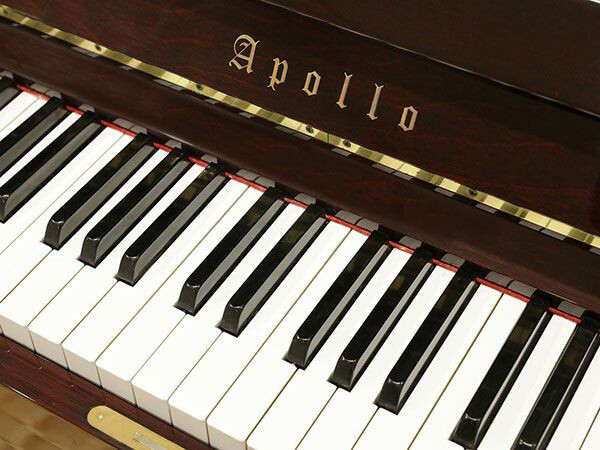 Music City – Tổng Kho Piano, Guitar, Organ | Dịch Vụ Giáo Dục Âm Nhạc