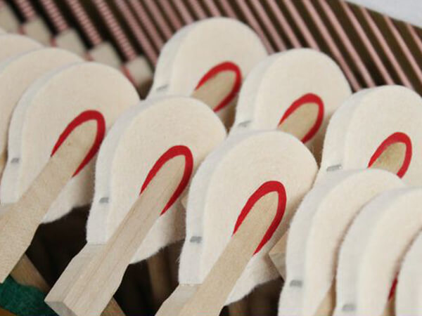 Music City – Tổng Kho Piano, Guitar, Organ | Dịch Vụ Giáo Dục Âm Nhạc