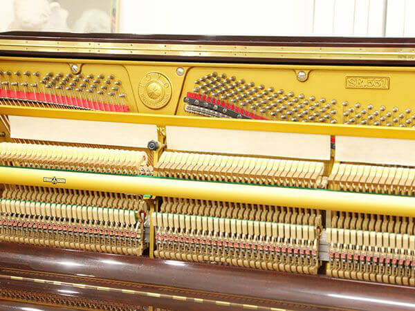 Đàn Piano Apollo SR551 - Ảnh 4