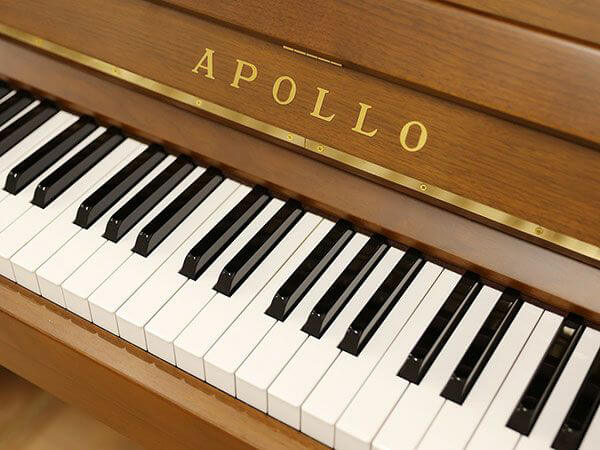 Music City – Tổng Kho Piano, Guitar, Organ | Dịch Vụ Giáo Dục Âm Nhạc