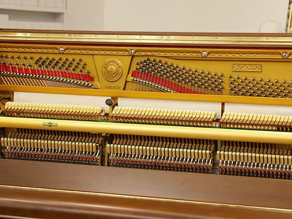Music City – Tổng Kho Piano, Guitar, Organ | Dịch Vụ Giáo Dục Âm Nhạc