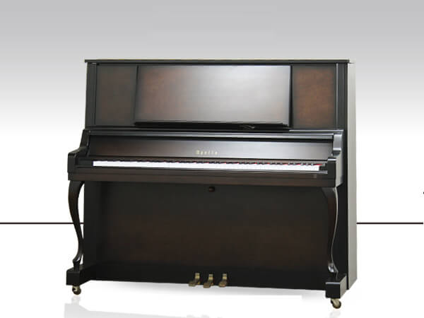 Music City – Tổng Kho Piano, Guitar, Organ | Dịch Vụ Giáo Dục Âm Nhạc