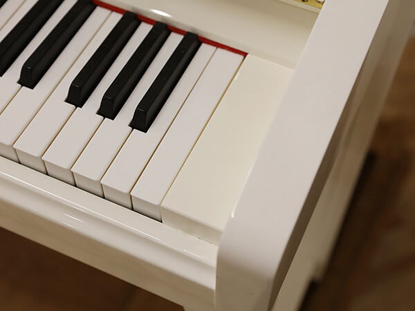 Music City – Tổng Kho Piano, Guitar, Organ | Dịch Vụ Giáo Dục Âm Nhạc