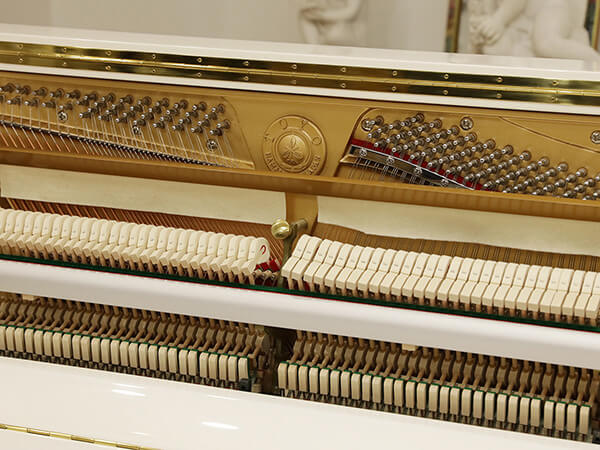 Đàn Piano Apollo WA118I - Ảnh 5