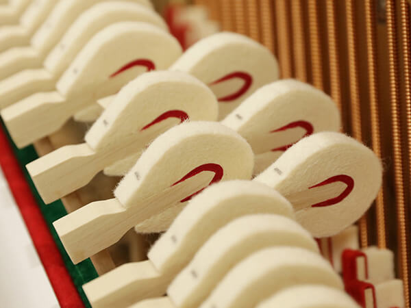 Đàn Piano Apollo WA118I - Ảnh 9