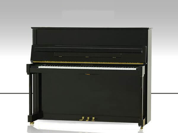 Đàn Piano Bechstein A124 - Ảnh 2
