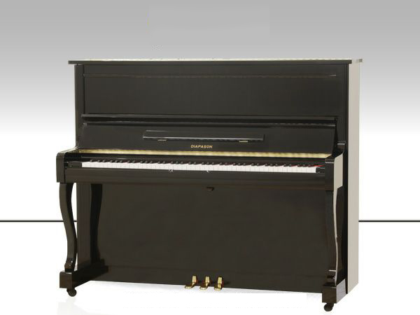 Music City – Tổng Kho Piano, Guitar, Organ | Dịch Vụ Giáo Dục Âm Nhạc