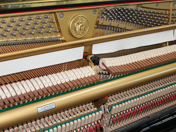 Music City – Tổng Kho Piano, Guitar, Organ | Dịch Vụ Giáo Dục Âm Nhạc