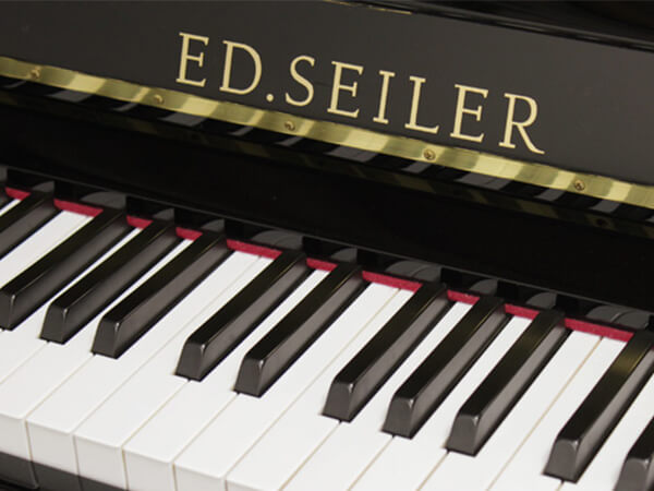 Đàn Piano ED.Seiler 122 - Ảnh 3