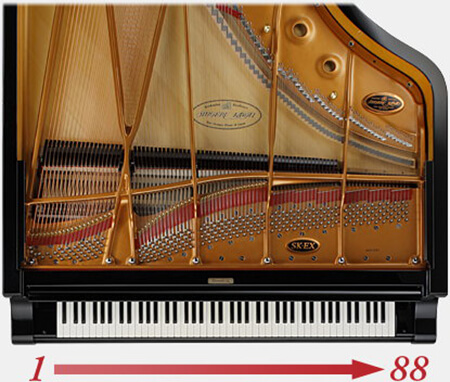 Music City – Tổng Kho Piano, Guitar, Organ | Dịch Vụ Giáo Dục Âm Nhạc