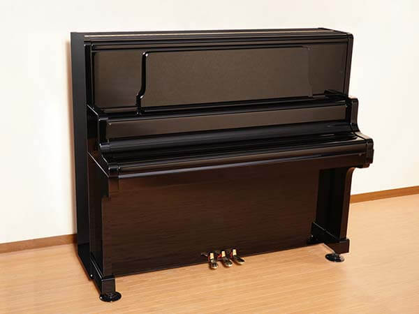 Music City – Tổng Kho Piano, Guitar, Organ | Dịch Vụ Giáo Dục Âm Nhạc