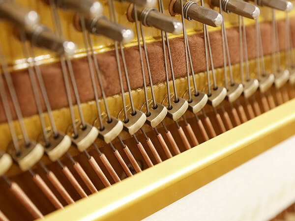 Đàn Piano Kreutzer KE505 - Ảnh 6