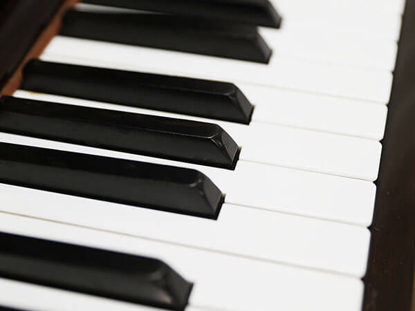 Music City – Tổng Kho Piano, Guitar, Organ | Dịch Vụ Giáo Dục Âm Nhạc