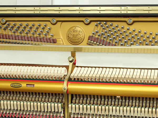 Music City – Tổng Kho Piano, Guitar, Organ | Dịch Vụ Giáo Dục Âm Nhạc