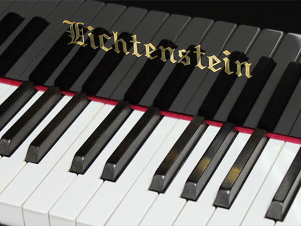 Đàn Piano Lichtenstein MK300 - Ảnh 3