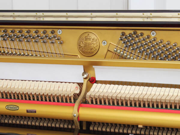 Đàn Piano Lichtenstein MK300 - Ảnh 6