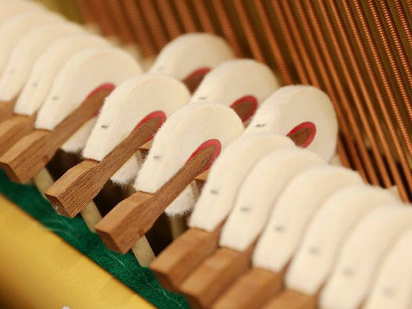 Đàn Piano Marchen MA760 - Ảnh 12