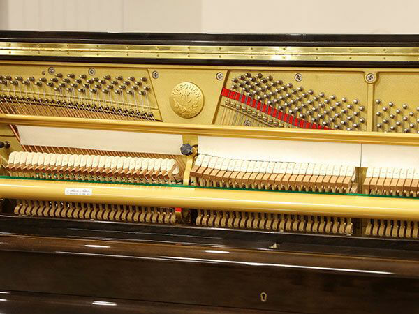 Music City – Tổng Kho Piano, Guitar, Organ | Dịch Vụ Giáo Dục Âm Nhạc
