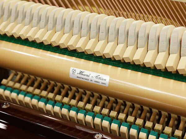 Music City – Tổng Kho Piano, Guitar, Organ | Dịch Vụ Giáo Dục Âm Nhạc