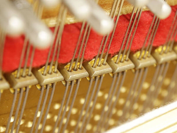 Đàn Piano Petrof P125F1 - Ảnh 6