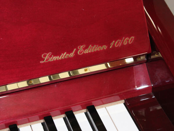 Đàn Piano Pierre A120LE - Ảnh 4