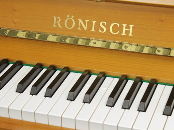 Đàn Piano Ronish 118KI - Ảnh 4