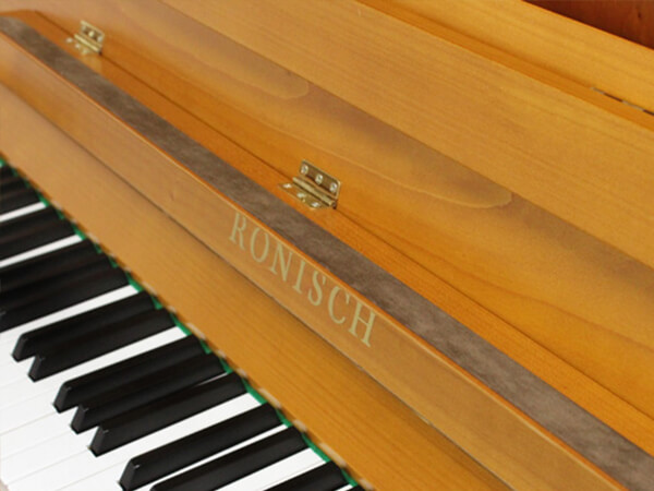 Music City – Tổng Kho Piano, Guitar, Organ | Dịch Vụ Giáo Dục Âm Nhạc