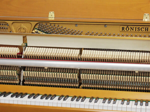 Đàn Piano Ronish 118KI - Ảnh 8