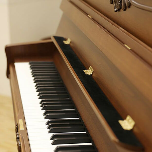 Music City – Tổng Kho Piano, Guitar, Organ | Dịch Vụ Giáo Dục Âm Nhạc