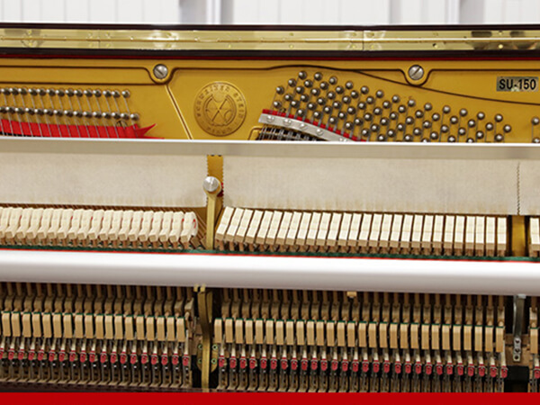 Music City – Tổng Kho Piano, Guitar, Organ | Dịch Vụ Giáo Dục Âm Nhạc