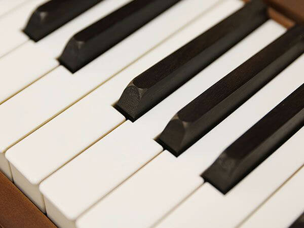 Đàn Piano Shchied Mayerr Sagano - Ảnh 4