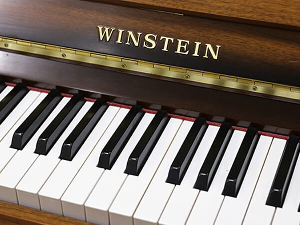 Đàn Piano Winstein WS121 - Ảnh 3