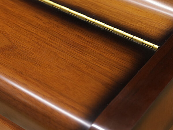 Đàn Piano Winstein WS121 - Ảnh 4