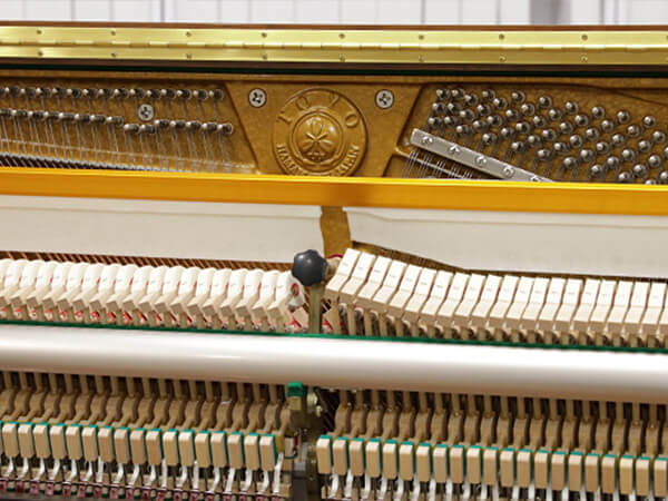 Đàn Piano Winstein WS121 - Ảnh 5