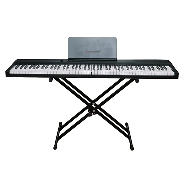 Music City – Tổng Kho Piano, Guitar, Organ | Dịch Vụ Giáo Dục Âm Nhạc